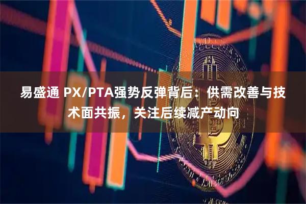 易盛通 PX/PTA强势反弹背后：供需改善与技术面共振，关注后续减产动向