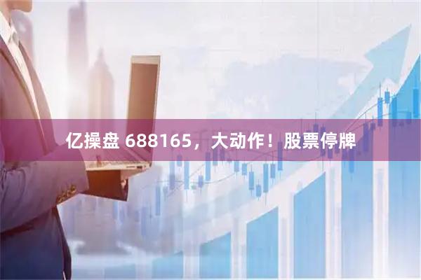亿操盘 688165，大动作！股票停牌